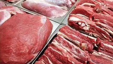 ره آورد سفر رئیسی به کنیا؛ معاوضه نیسان آبی با گوشت قرمز