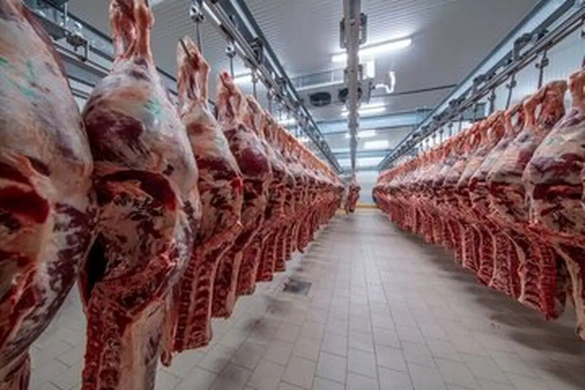 واردات ۲۰۰ هزار تن گوشت قرمز از کنیا