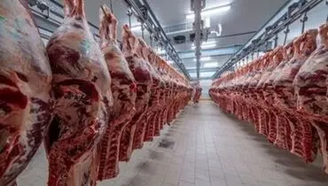 واردات ۲۰۰ هزار تن گوشت قرمز از کنیا
