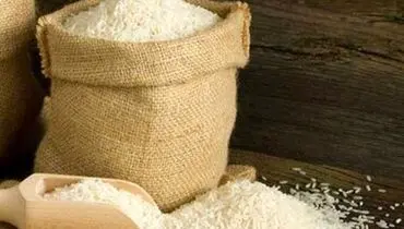 واردات برنج بشرطها و شروطها