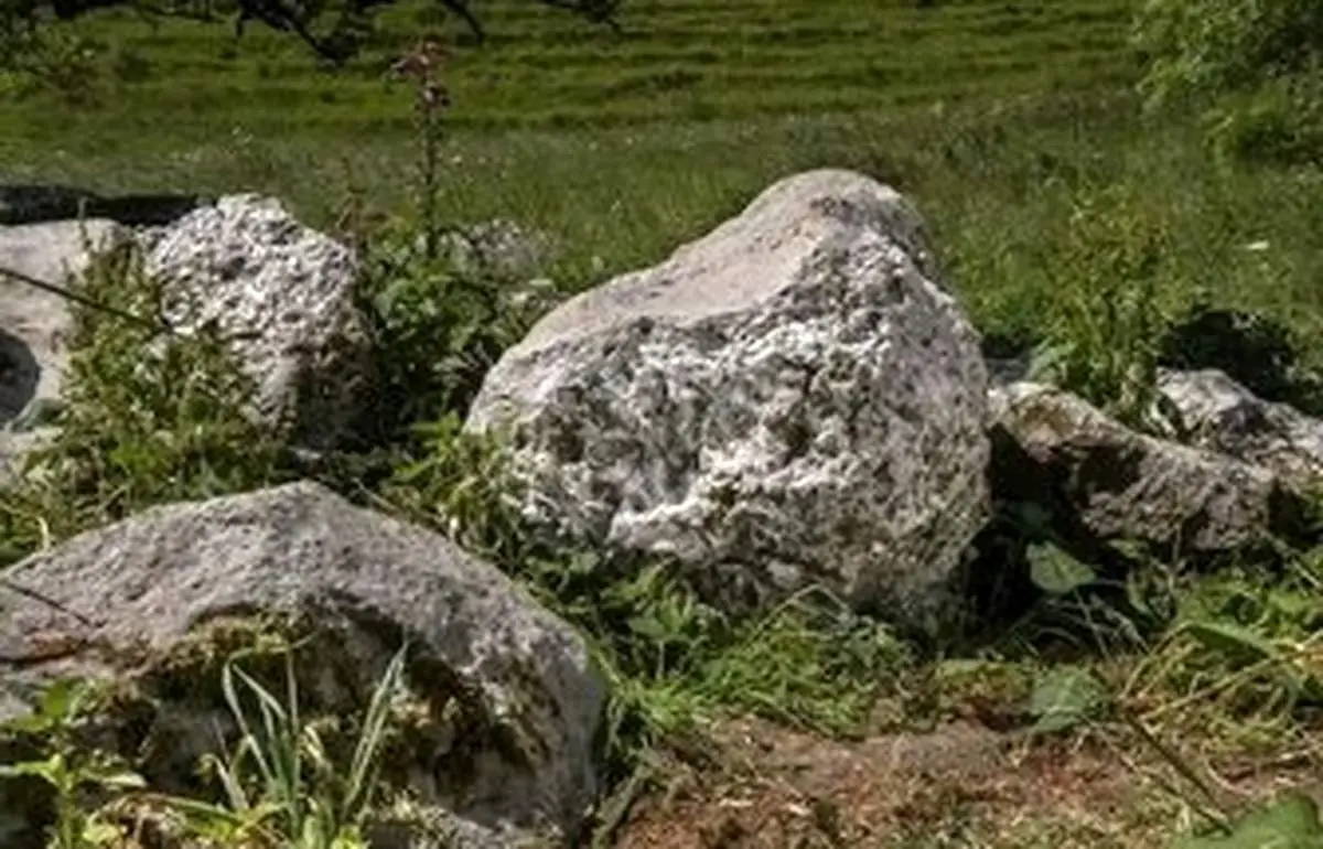 کشف اتفاقی یک تخته سنگ با ارزش+ عکس