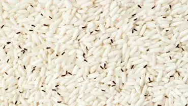 با این ترفند دیگه برنجتون حشره نمیذاره+ فیلم