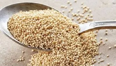 با این دانه کاهش وزن را تجربه کنید