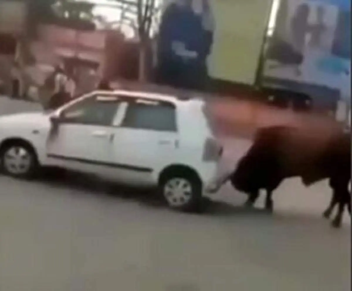 عاقبت باورنکردنی بد ماشین پارک کردن+ فیلم