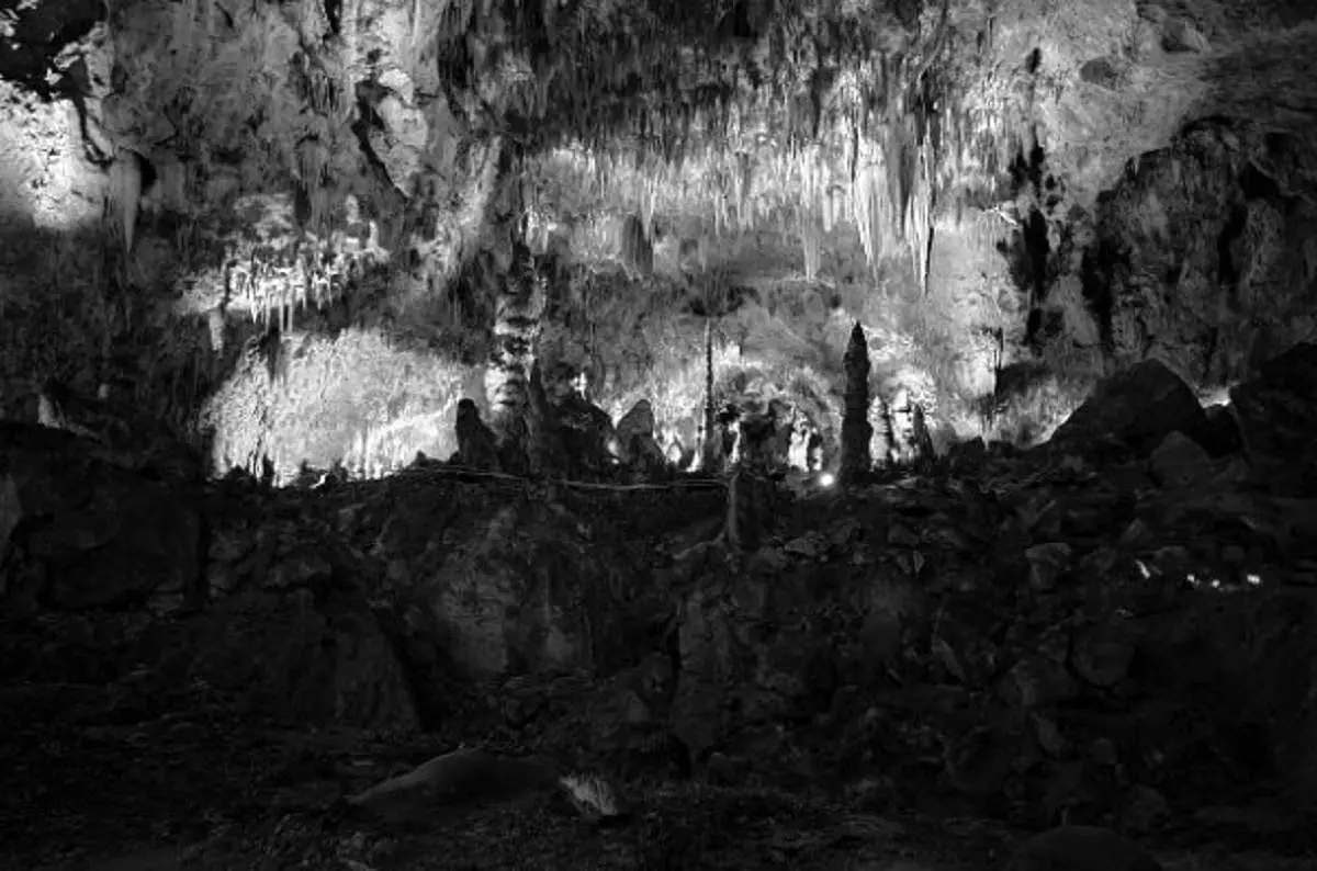 مشاهده موجودات عجیب در غار ۵ میلیون ساله+عکس