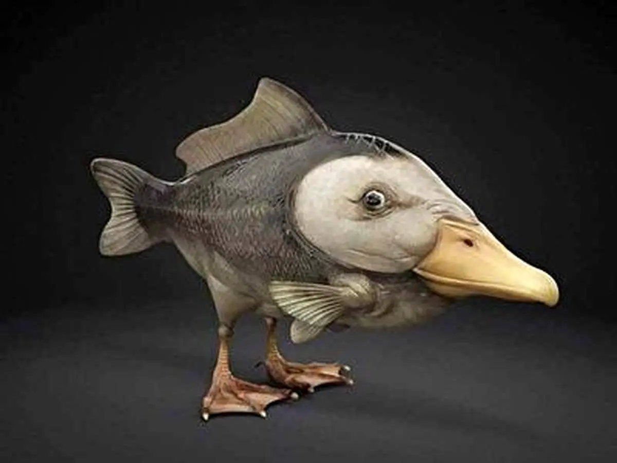 این اردک ماهی بطری نوشیدنی رو درسته بلعیده+فیلم