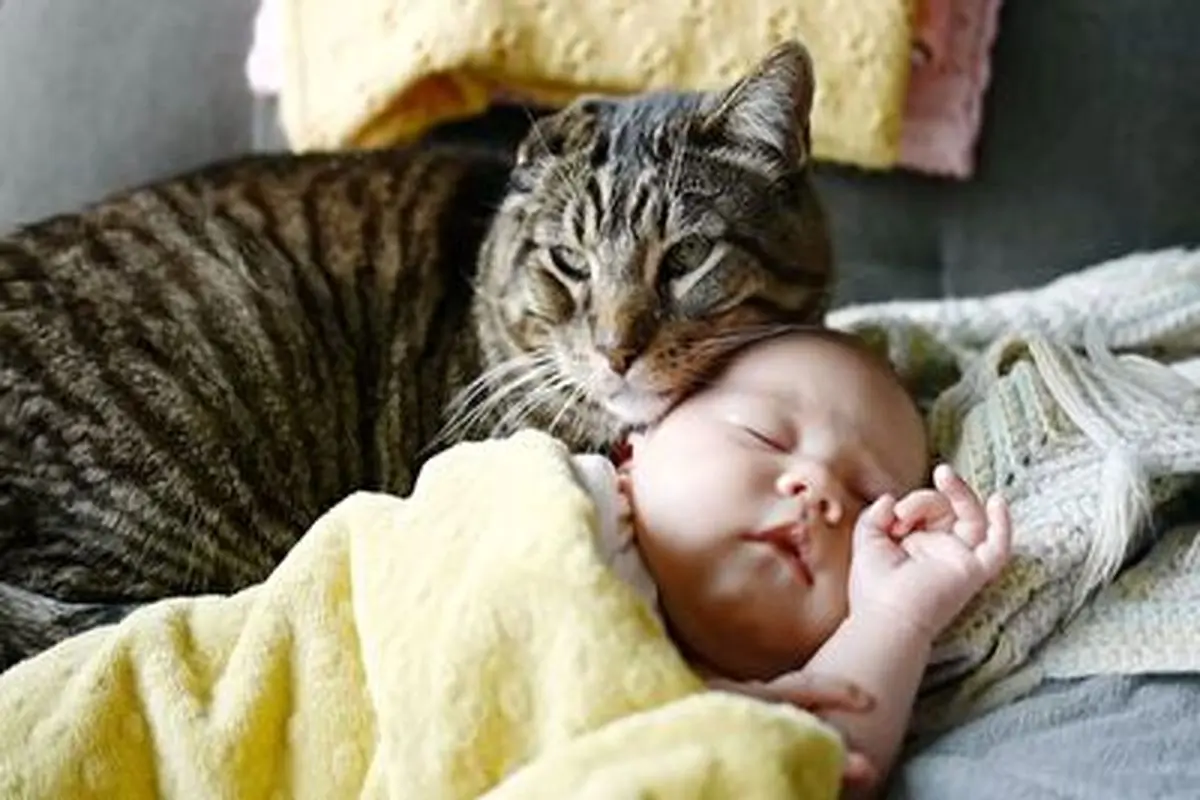 پرستاری جالب یک گربه از نوزاد انسان وایرال شد!+ فیلم