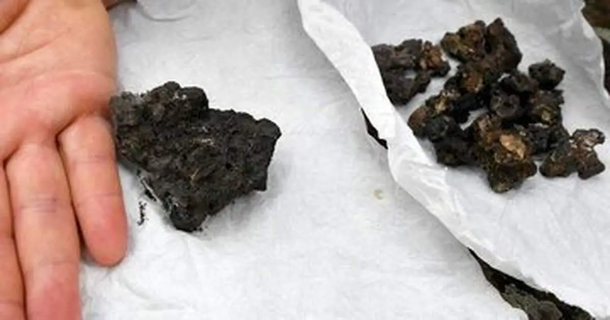 سنگی که در فضای مجازی غوغا بپا کرد!+ عکس