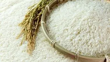 قیمت جدید برنج در بازار امروز