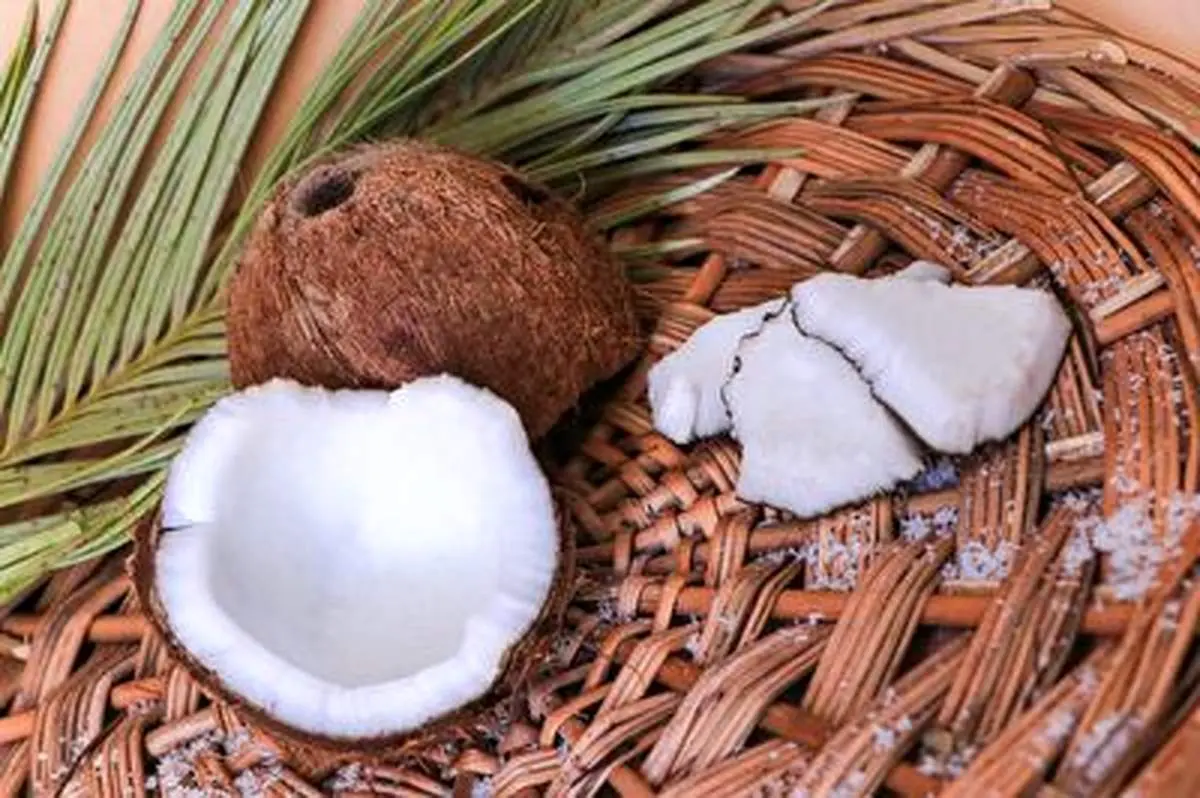 مهارت یک مرد جوان در بیرون کشیدن نارگیل از پوست+فیلم