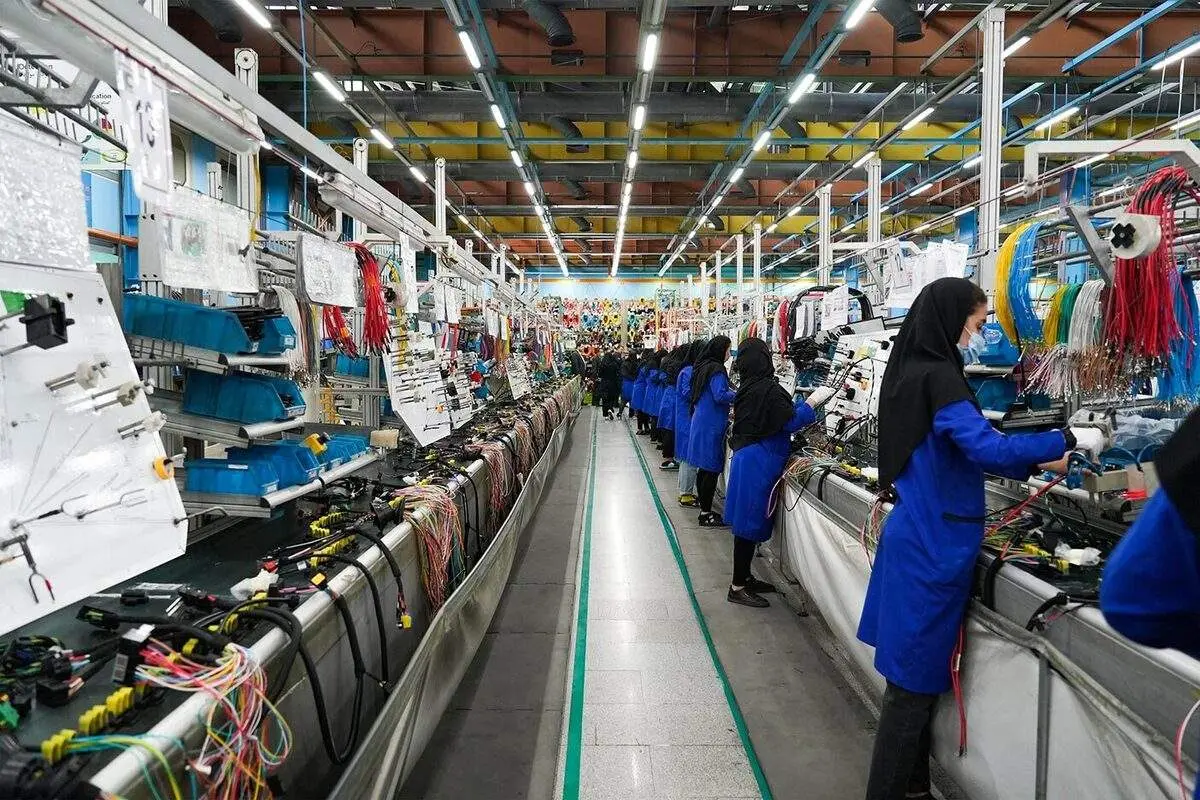 تخلف شرکت کروز احراز شد