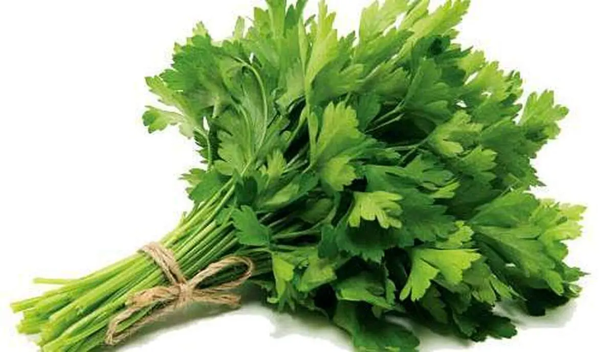 گیاهی که سرشار از ویتامین C و آهن است