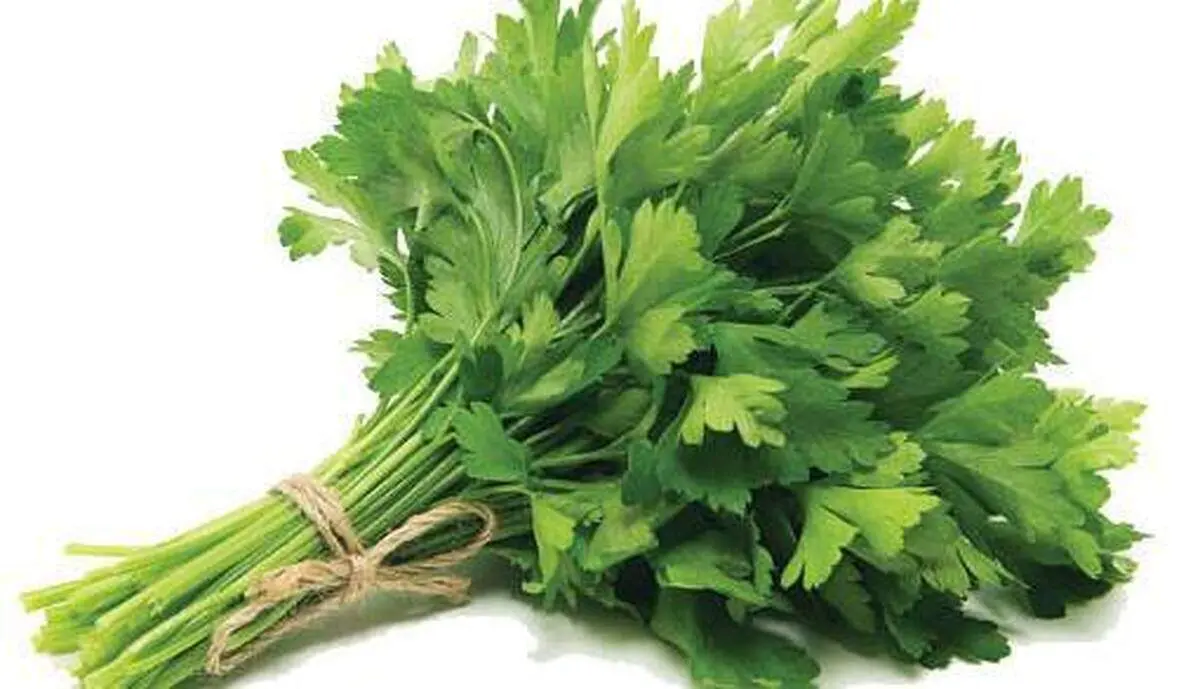 گیاهی که سرشار از ویتامین C و آهن است