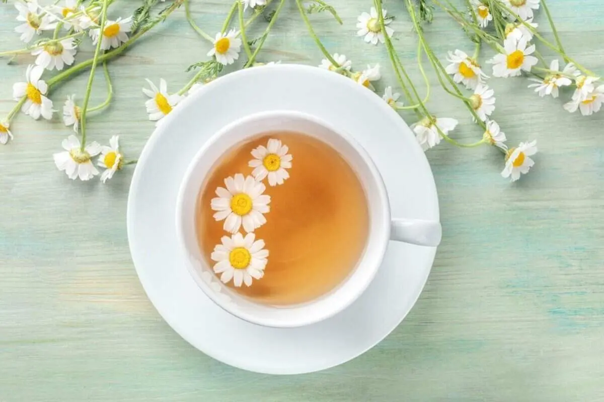 خواص شگفت‌انگیز بابونه