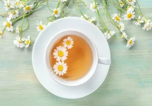 خواص بی نظیر بابونه برای سلامت زنان و مردان