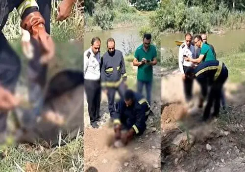 عکسی از جنین ۷۰ روزه کرگدن سفید جنوبی