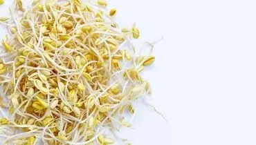 آموزش کامل طرز تهیه جوانه گندم