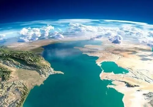 قیمت عجیب ماهی آزاد دریای خزر در یک مزایده+ فیلم