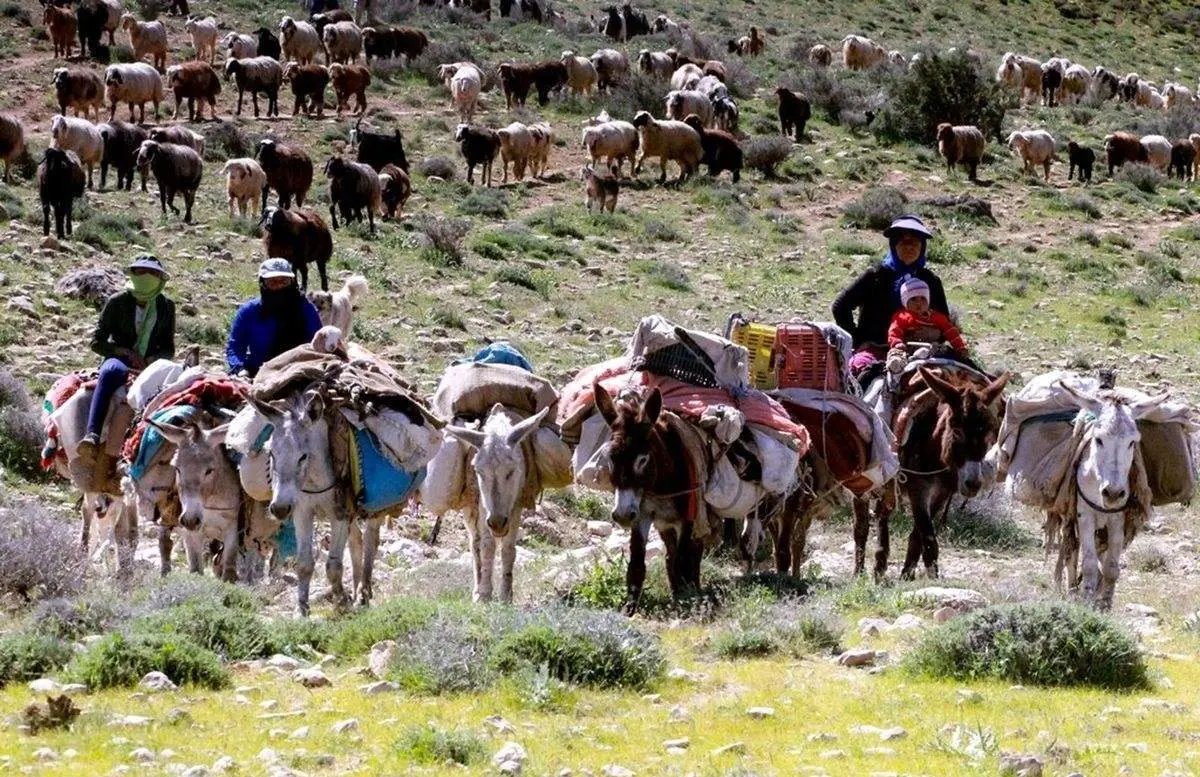 تصویری از یک مادر و کودک قشقایی در مسیر کوچ ییلاقی