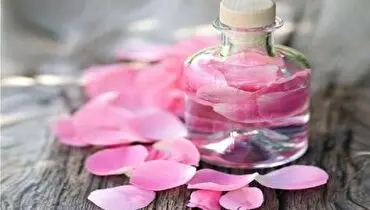 گلاب یا ادکلن؛ مسأله این است+ فیلم
