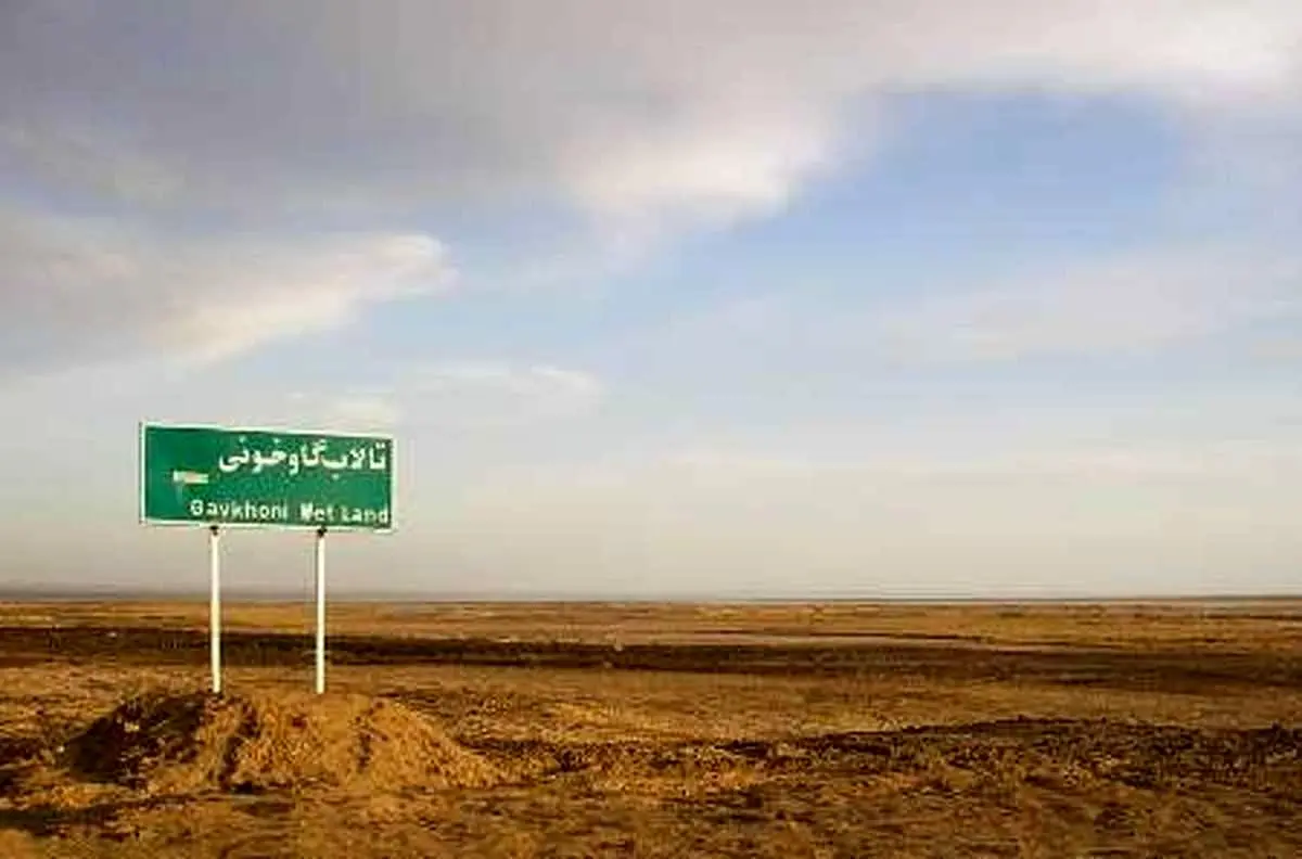 تغییرات باورنکردنی تالاب گاو خونی پس از 30سال+عکس