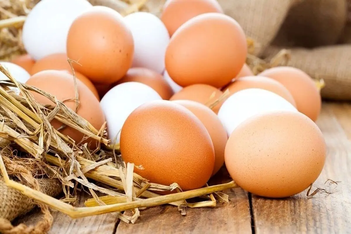 اعلام قیمت انواع تخم مرغ در بازار+عکس