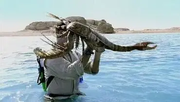 تصویری ترسناک از غول‌پیکرترین عقرب دریایی!