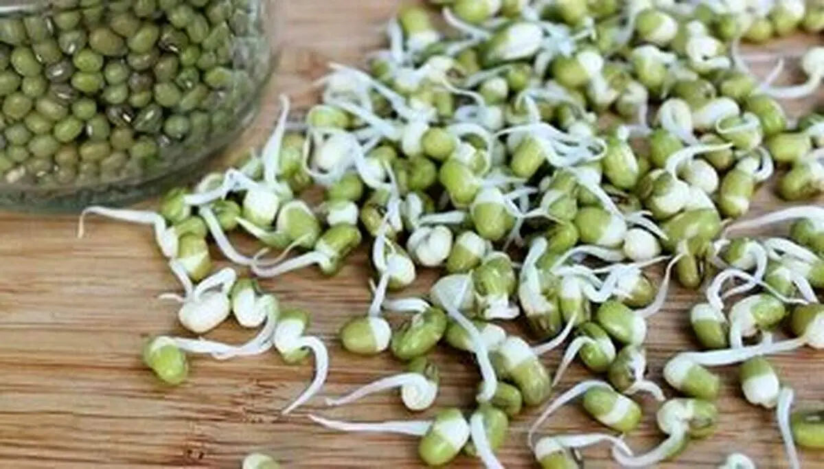 این گیاه با چاقی می جنگد