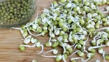 این گیاه با چاقی می جنگد