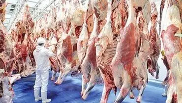 قیمت جدید گوشت مشخص شد