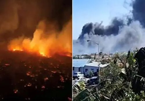 «هاوایی» معادلات گیشه را به هم ریخت؛ سبقت امین حیایی از پژمان جمشیدی
