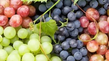 معجزه این میوه‌ تابستانی برای جوان شدن