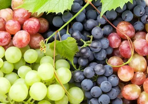 این میوه تابستانی ضد سرطان است!