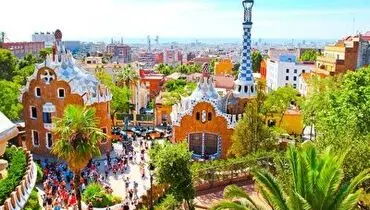 دانش جالب اسپانیا در استفاده از این درخت برای تولید چوب پنبه+ فیلم