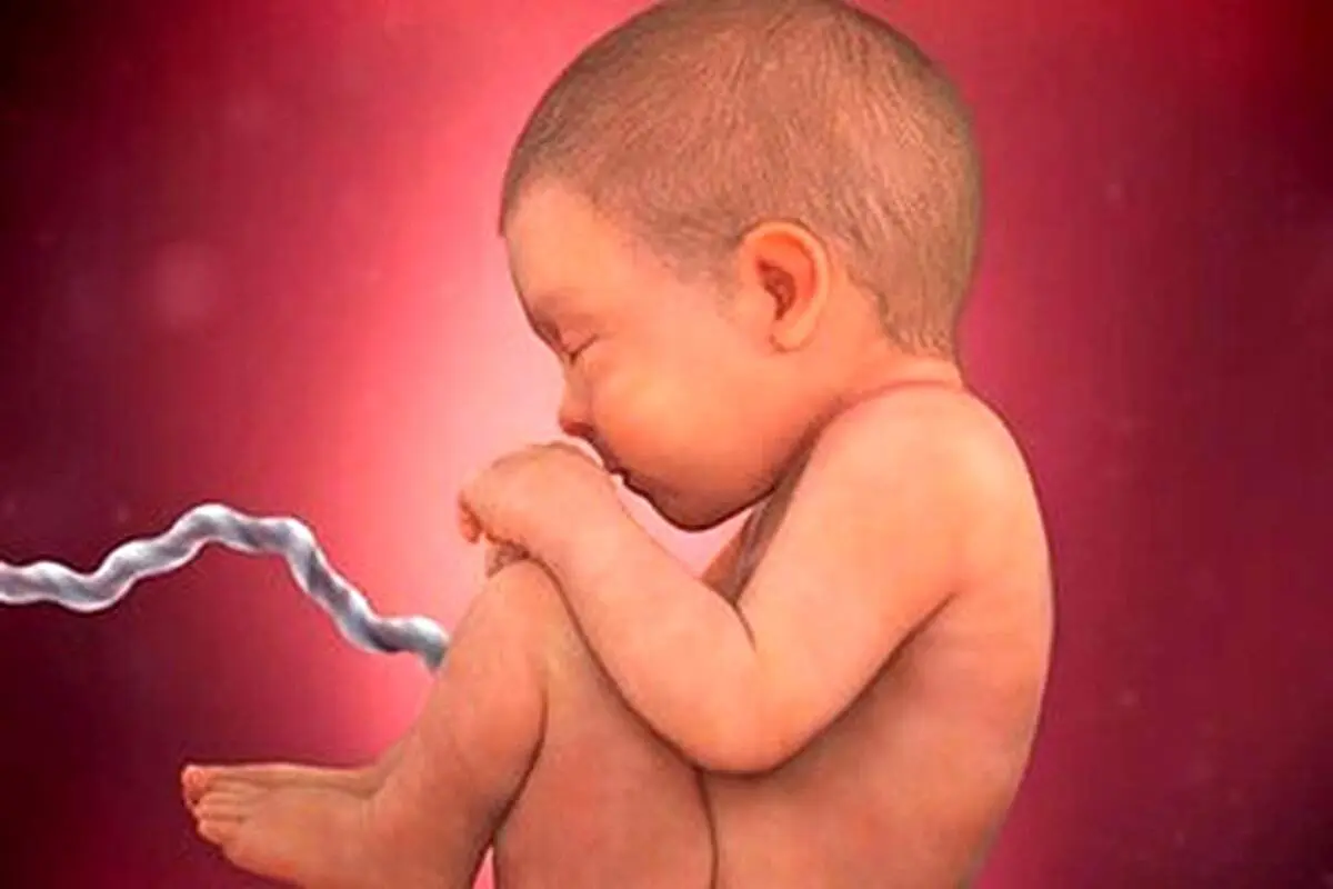 توقف مجوز تولید و واردات کیت های غربالگری سه ماهه اول بارداری صحت دارد؟