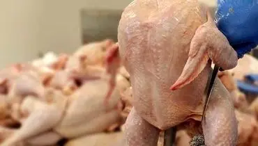 تسنیم: قیمت مرغ به زیر ۸۰ هزار تومان رسید