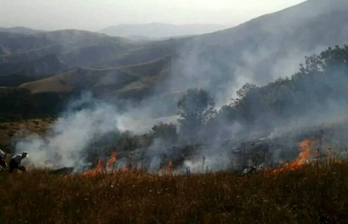 جزئیات جدید از آتش سوزی در منطقه جنگلی «ونستان و چایکندی» ارسباران