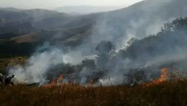 جزئیات جدید از آتش سوزی در منطقه جنگلی «ونستان و چایکندی» ارسباران