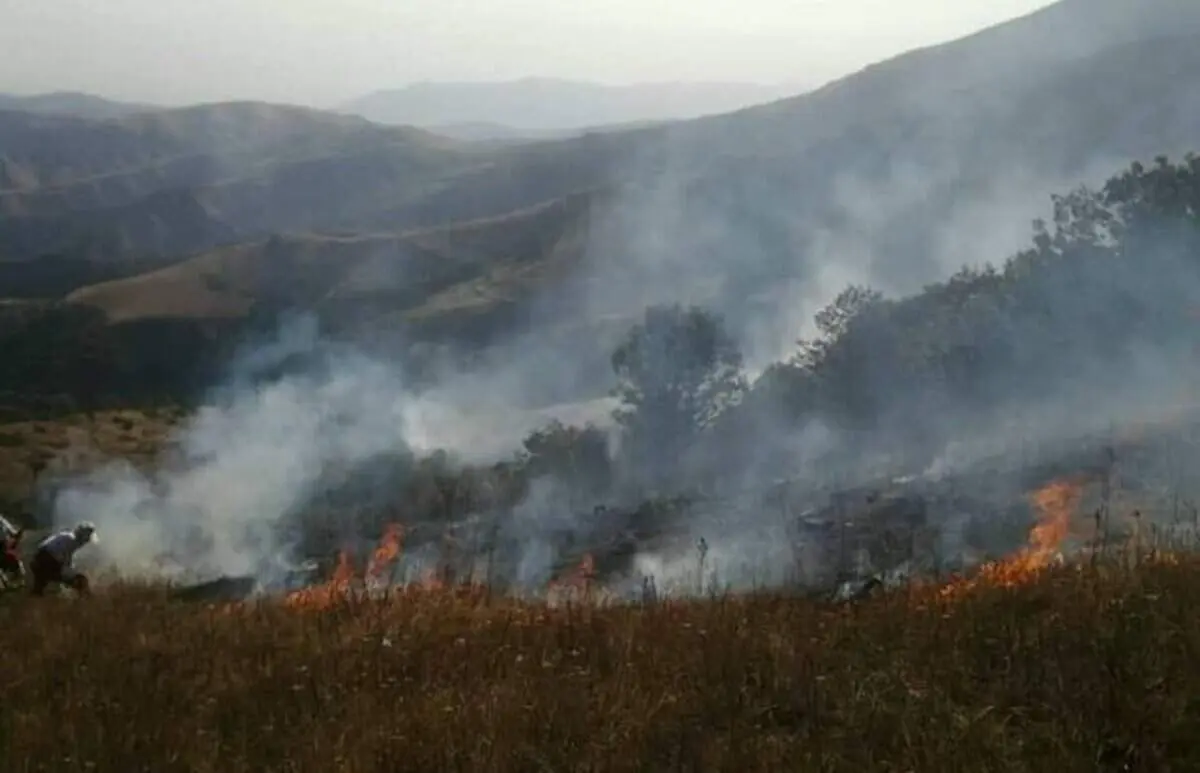جزئیات جدید از آتش سوزی در منطقه جنگلی «ونستان و چایکندی» ارسباران