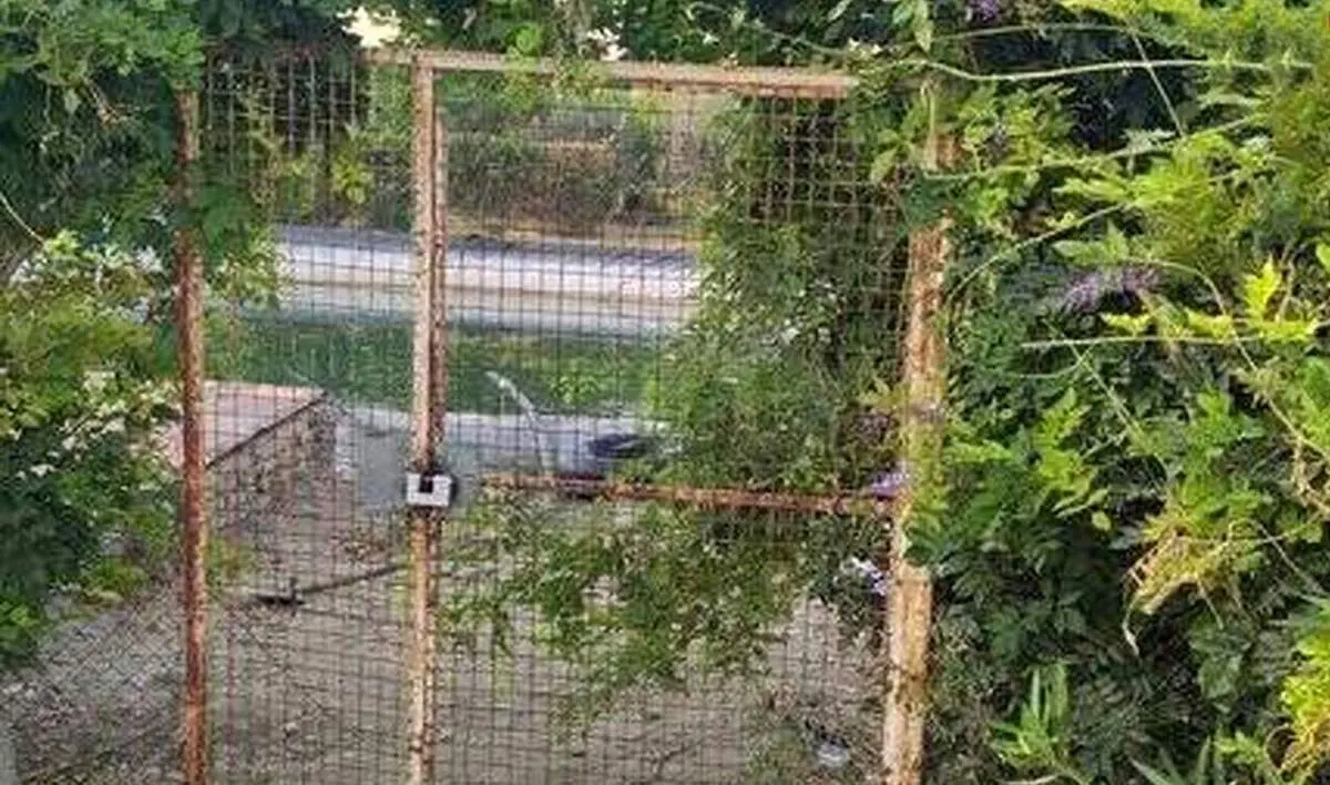 جزئیاتی جدید از مرگ ۲ کودک در پارک زیتون