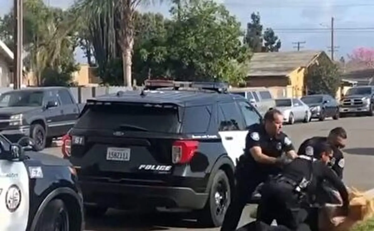 شلیک مرگبار پلیس آمریکا به زن باردار سیاه‌پوست+ فیلم