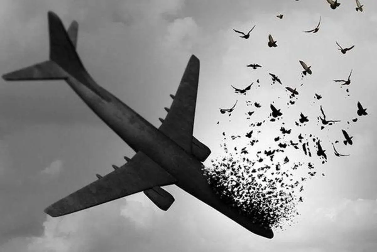 افشای پشت پرده شلیک به هواپیمای مسافربری بعد از چند سال+ عکس