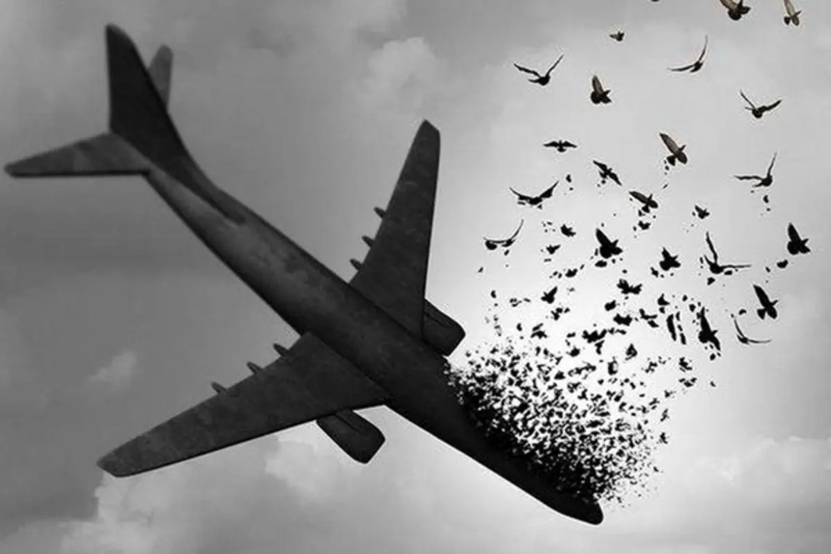افشای پشت پرده شلیک به هواپیمای مسافربری بعد از چند سال+ عکس