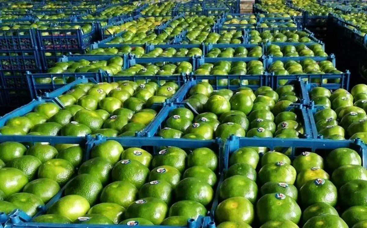هشدار جدی درباره مصرف نارنگی های نوبرانه!