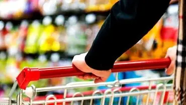 روایت وزیر اقتصاد از گران نشدن کالاهای اساسی