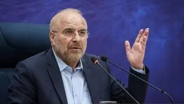 رئیس مجلس: نباید دست دولت را ببندیم