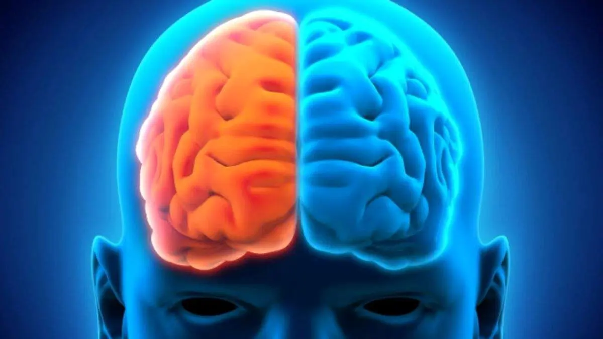 آشنایی با نیمکره های مغز