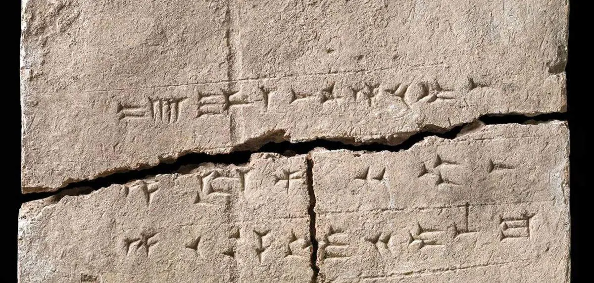 کشف «دی ان ای» ۳۰۰۰ ساله از دل سنگ نوشته‌ای به خط میخی