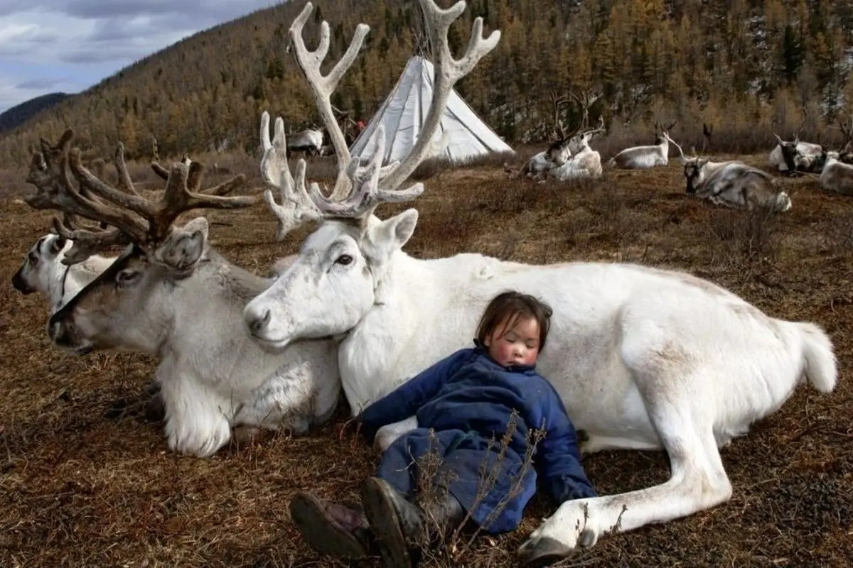 تصاویر رویایی از طبیعت و مردمان مغولستان