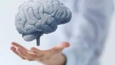 چه کنیم که مغزمان پیر نشود؟
